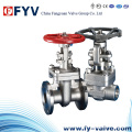 ASTM Manual Stainless Steel Gate Valves